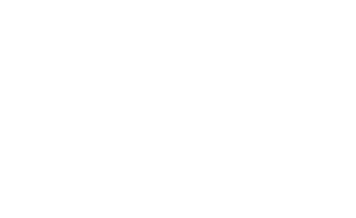 logo1